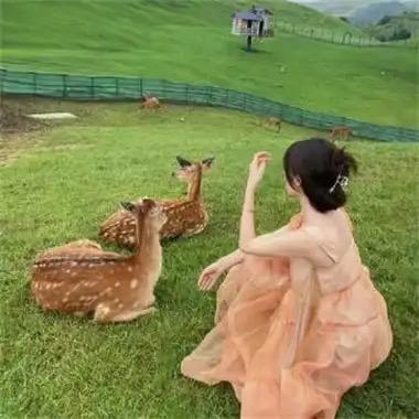 菲菲家女装