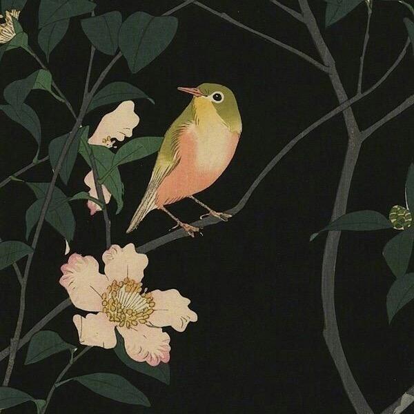 老顽南红馆-可定制