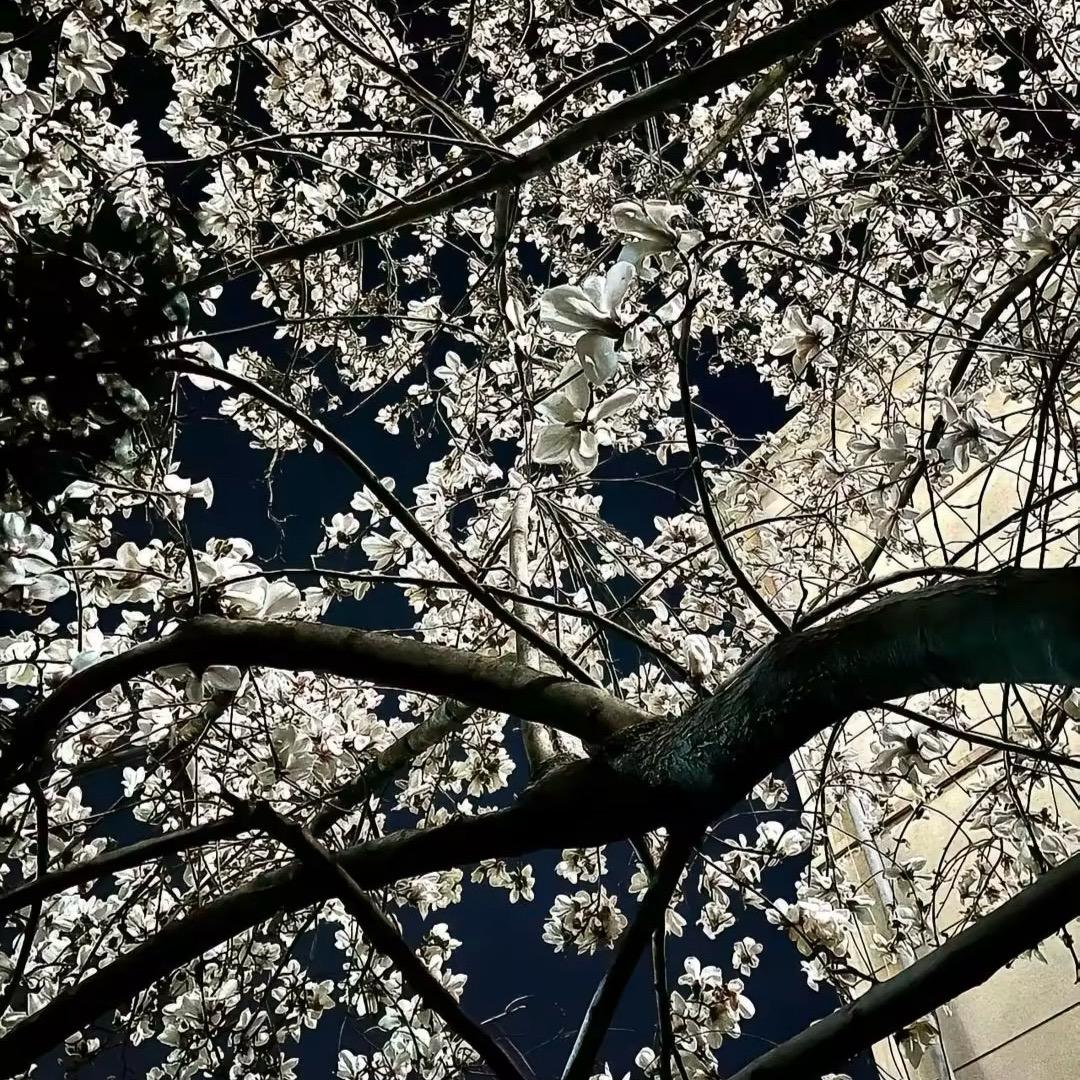 没想到