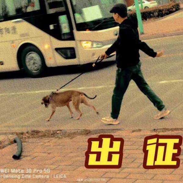 郝奇