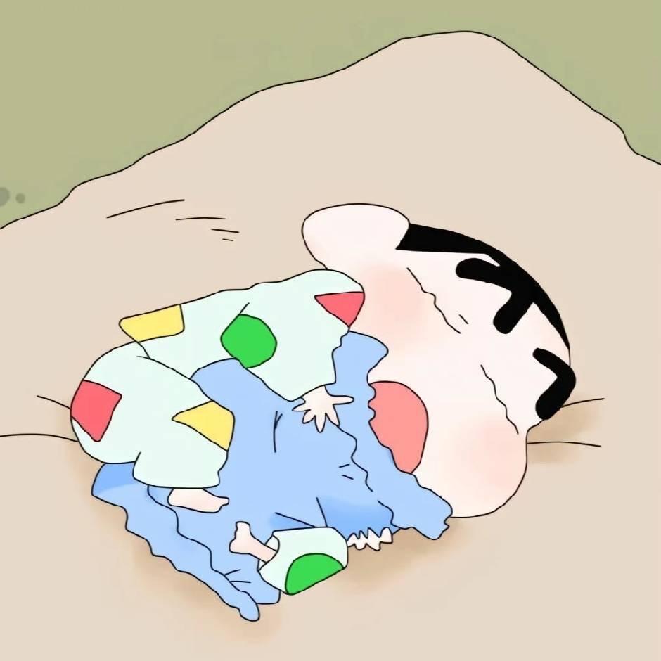 家养豆柴（买🐶后台）