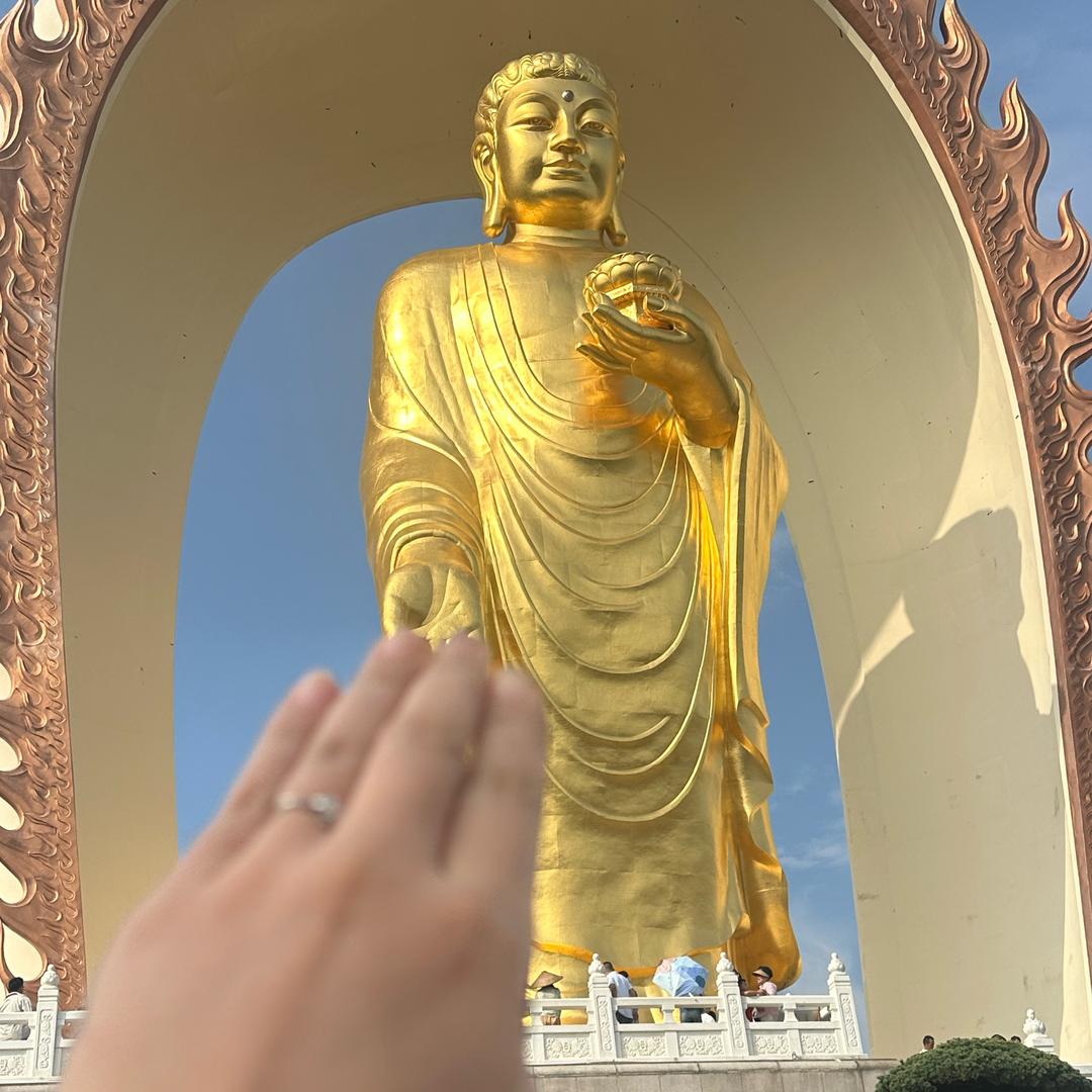 宋你一朵小红花🌻