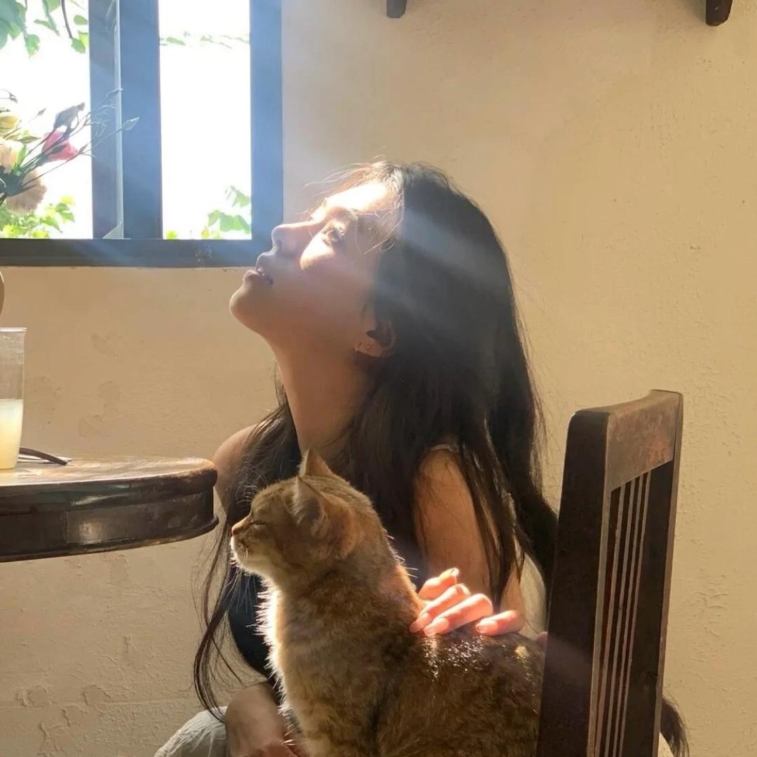 起司小鱼