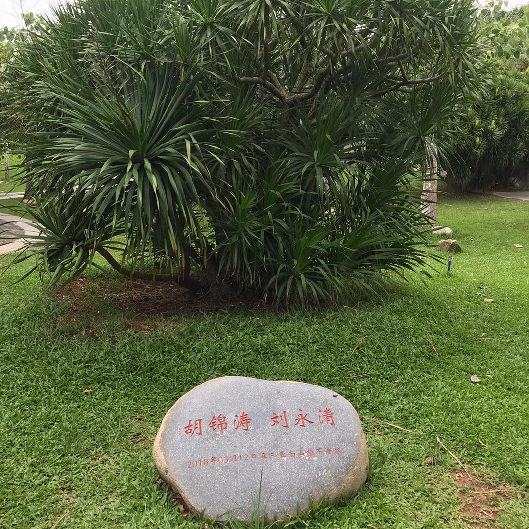 一老