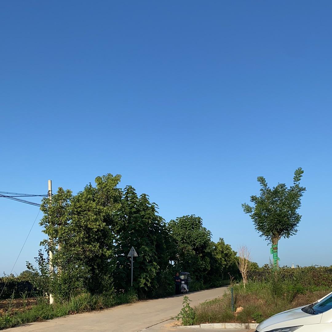 山水田园