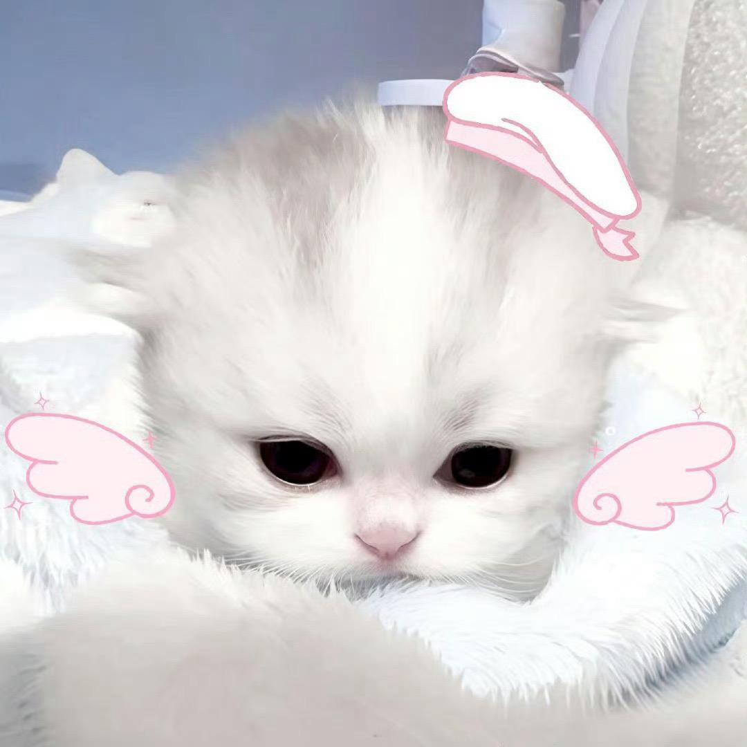 凛