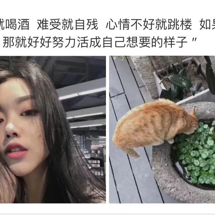 小果果