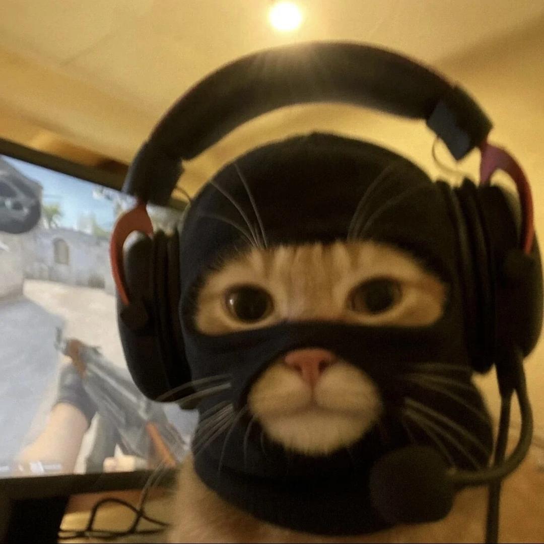 咖喱猪扒饭