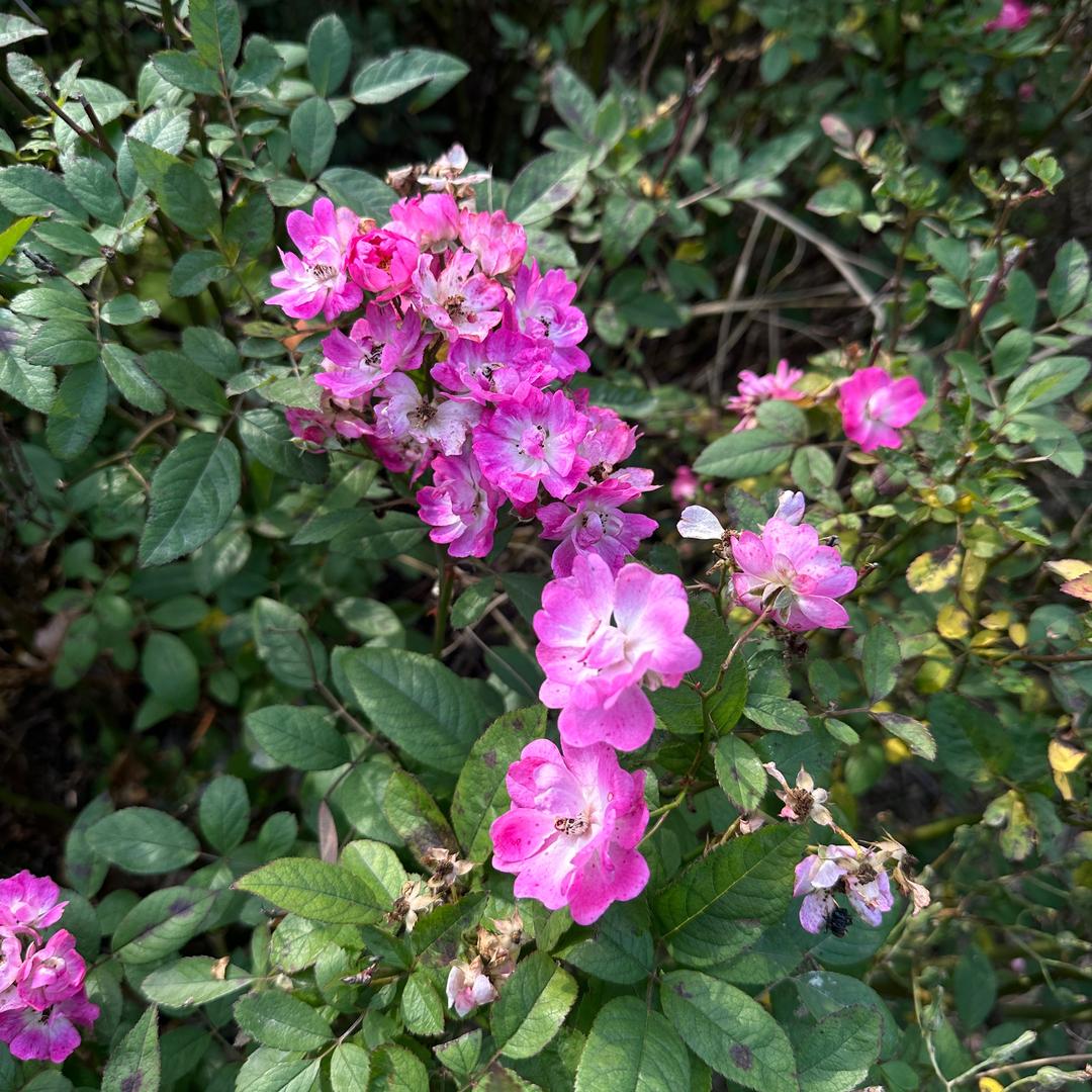 @妍浩妈妈（涨粉涨粉）