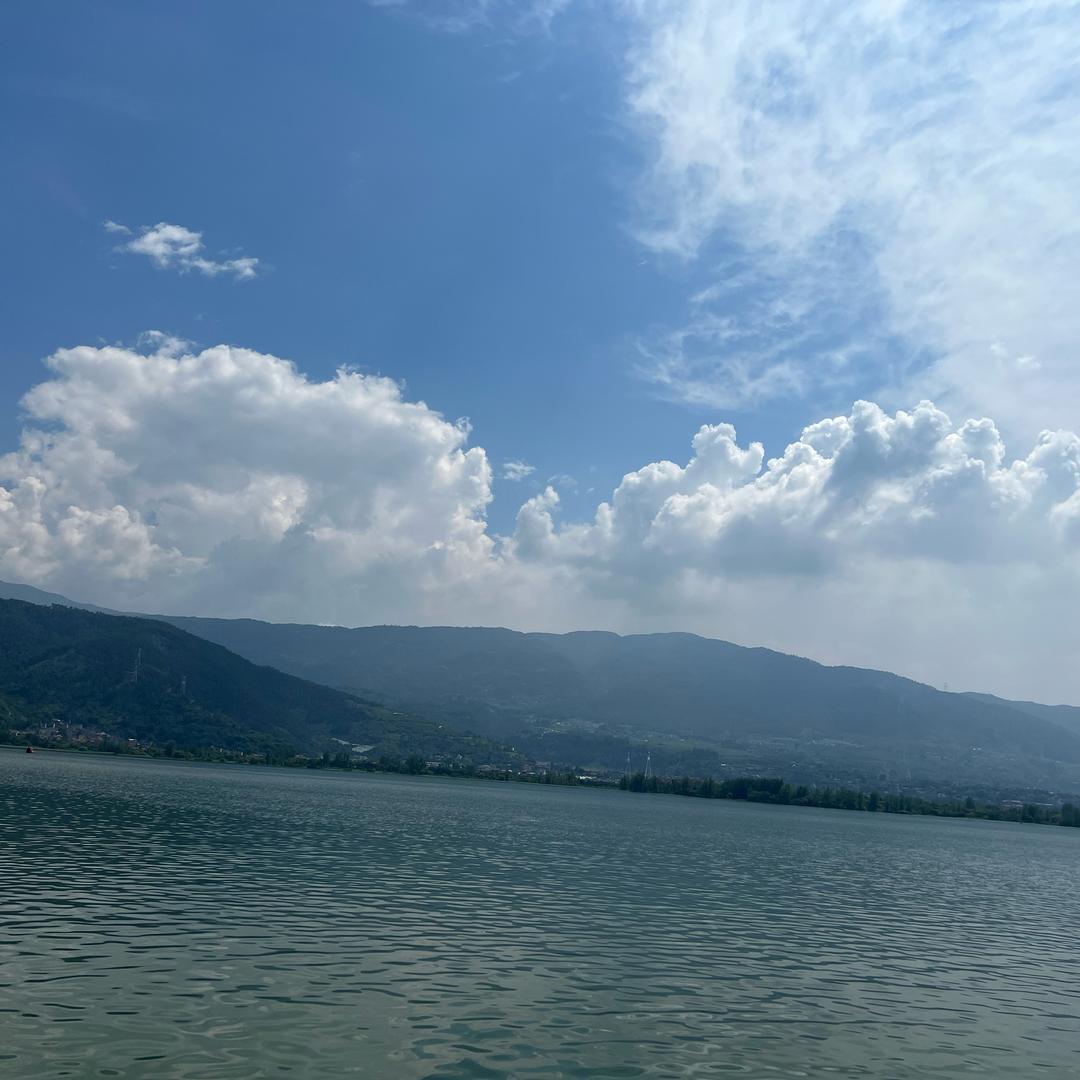 杨军@