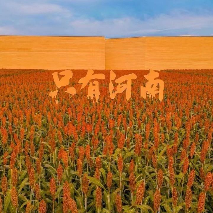 小特游玩