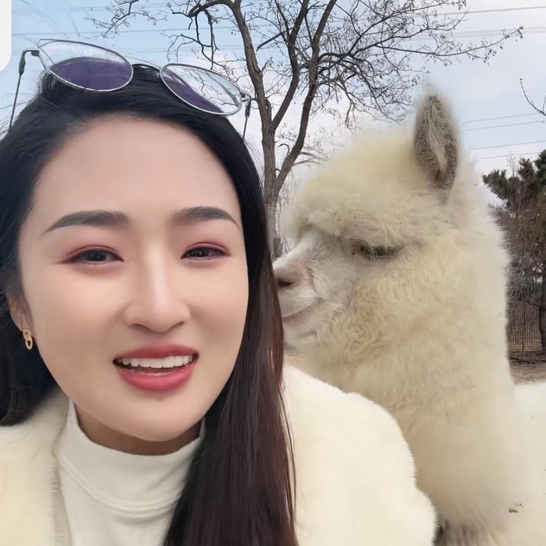 哈哈姐