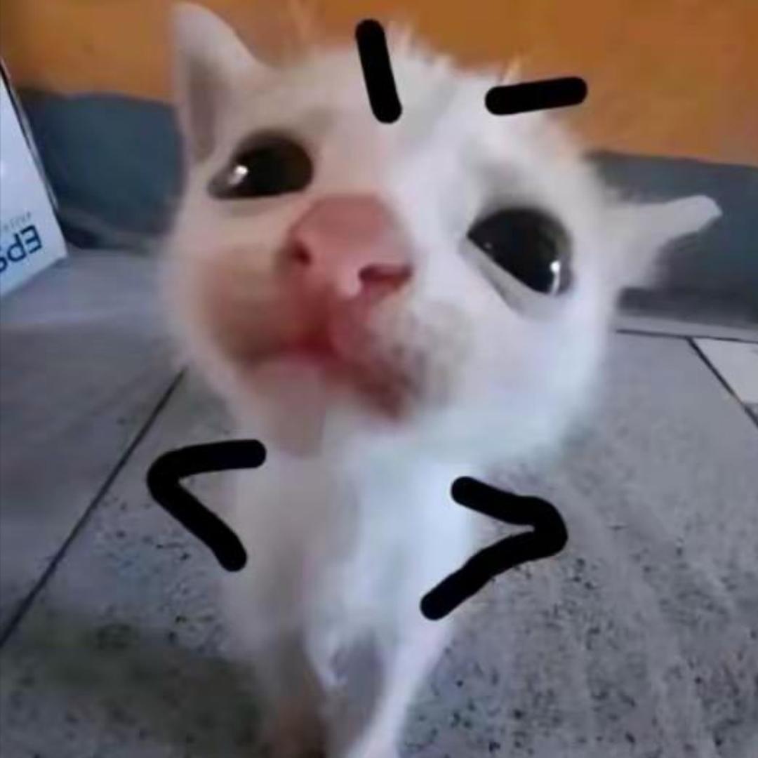 只会哭🅴