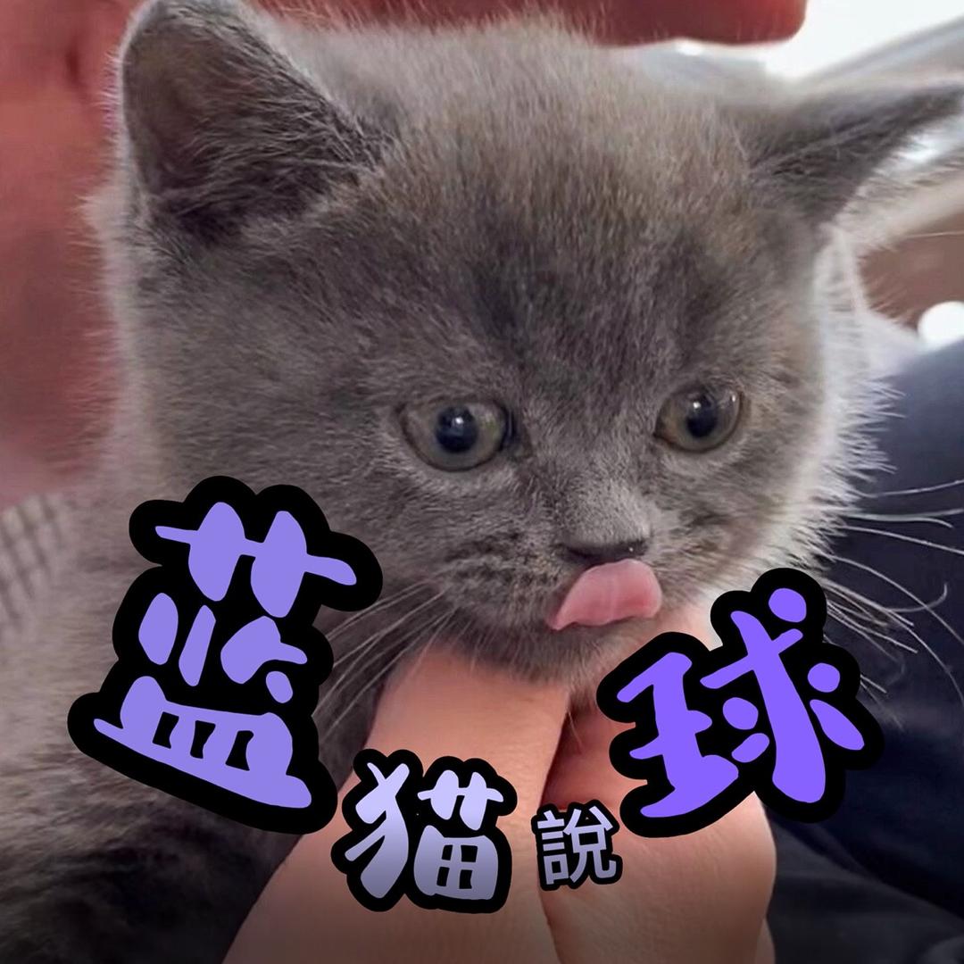 蓝猫说篮球