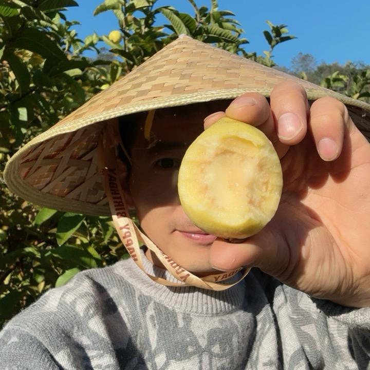 云知味