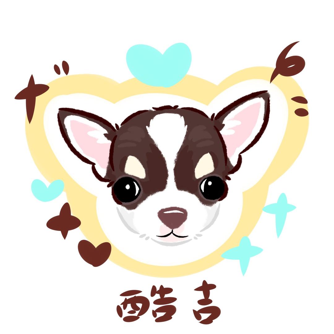 酷吉•吉娃娃