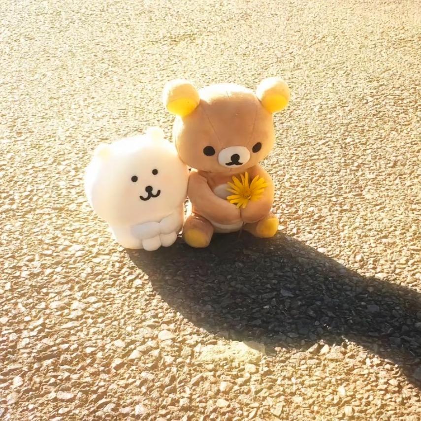 ٩( *´﹀`* )۶♬*゜