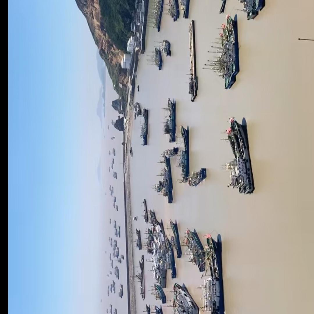 东海老贝比