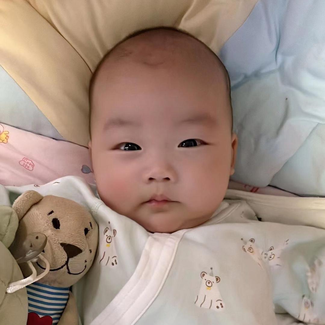 无心梅1