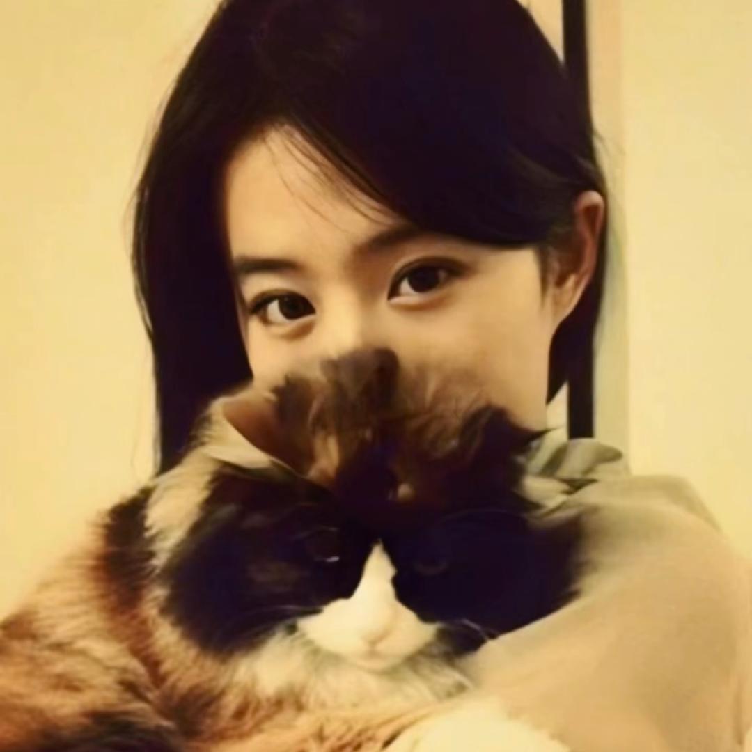 圭