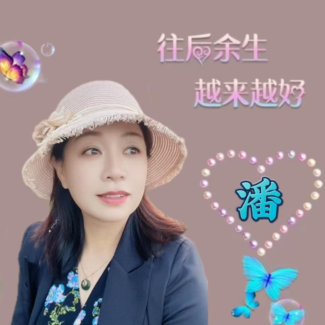 岁月静好（72🐭）