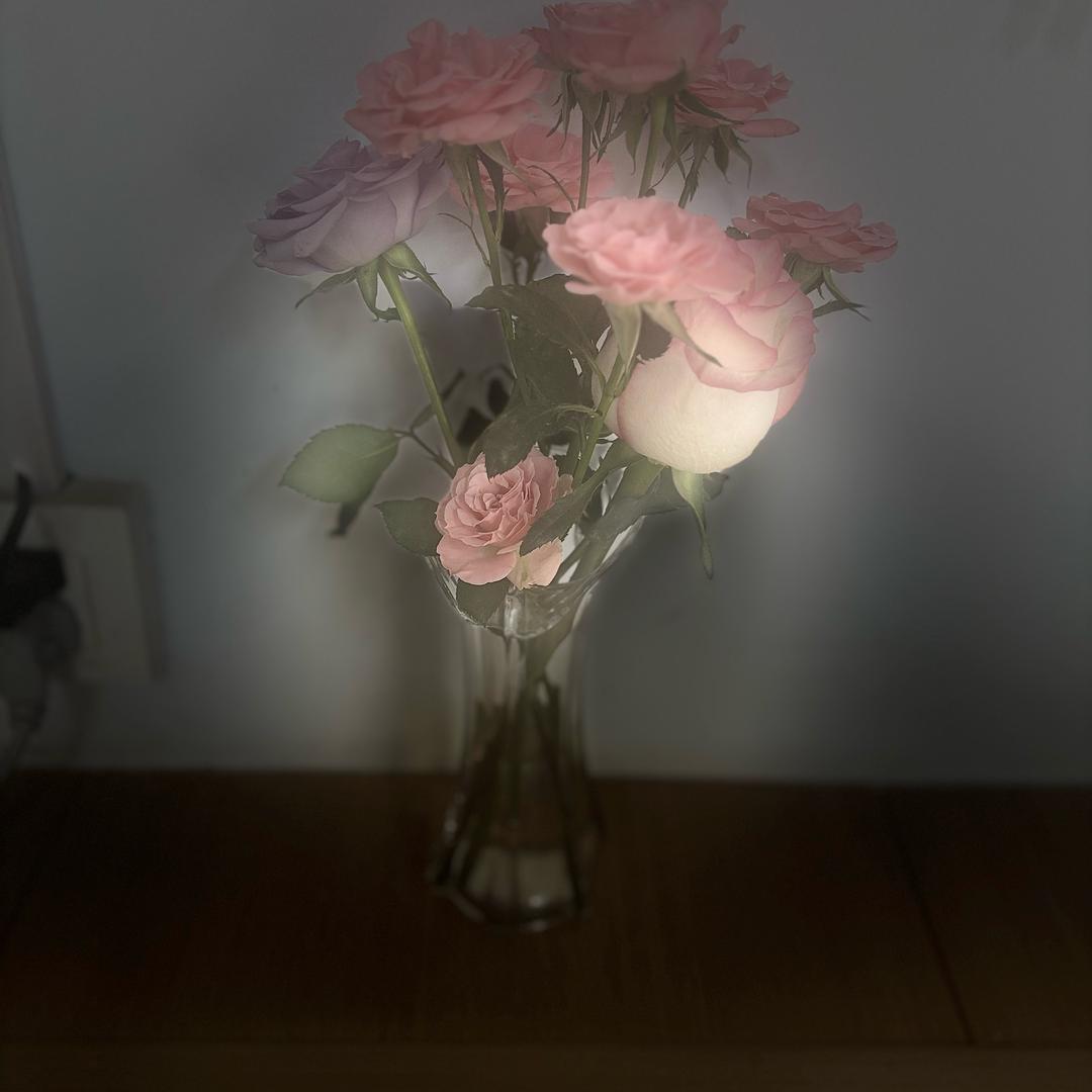 @随遇而安