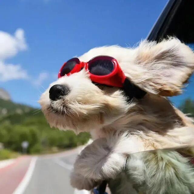 安安～