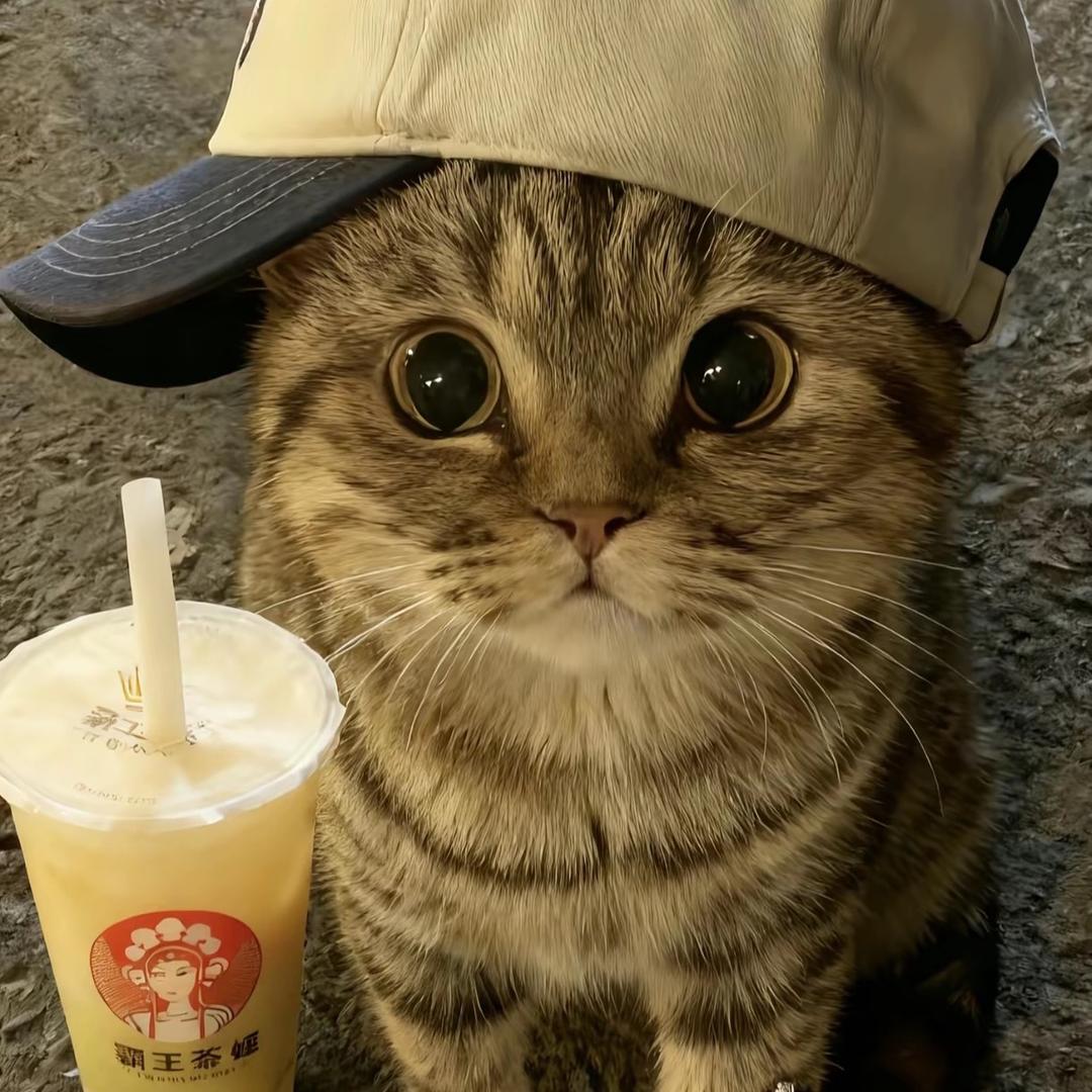 x 的绝对值