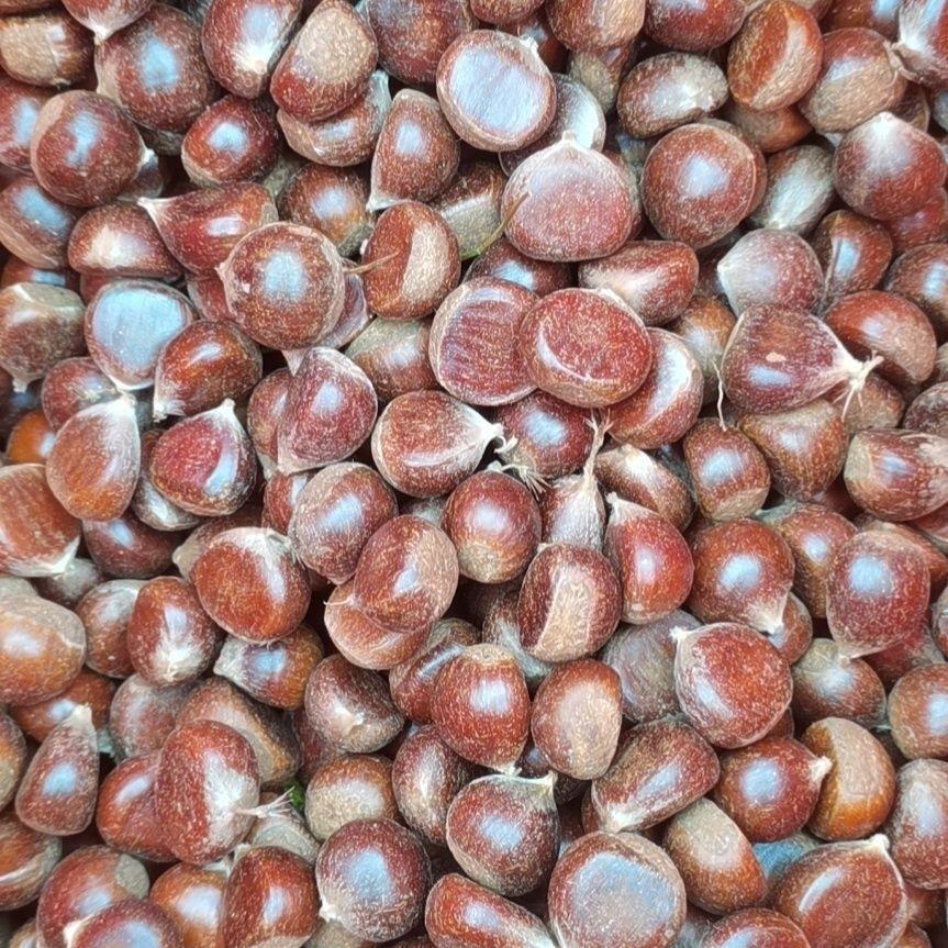 黔老大农产品甄选