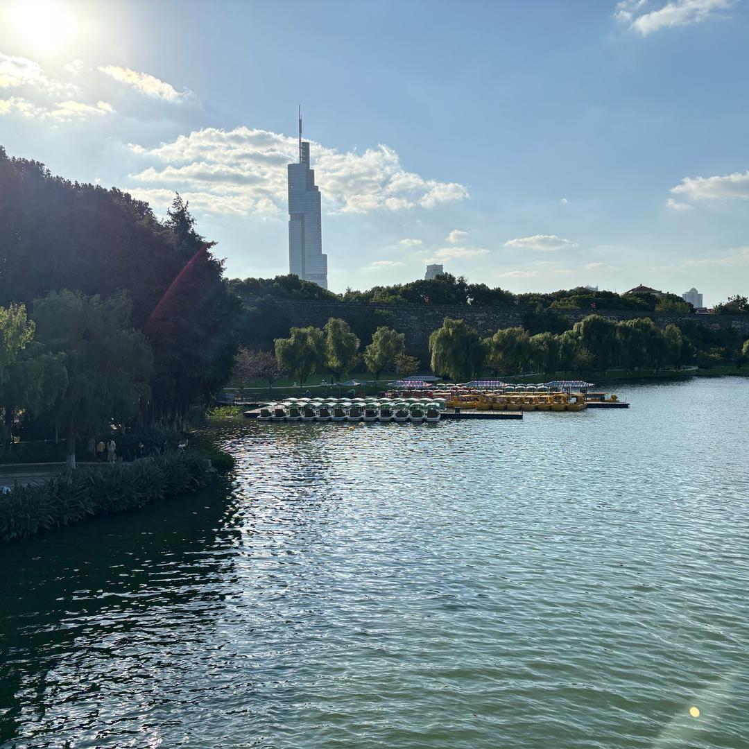 痴情寻声的小药仙头像