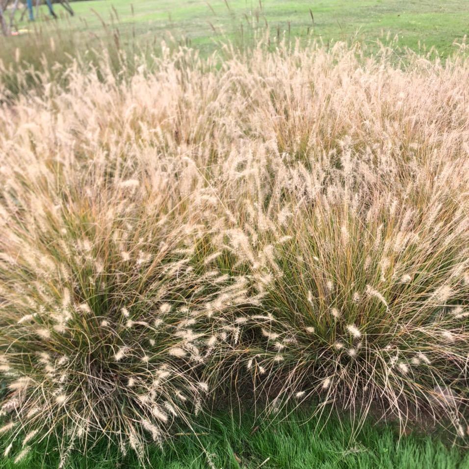 ☀️一路🍋 🍋星辰💫