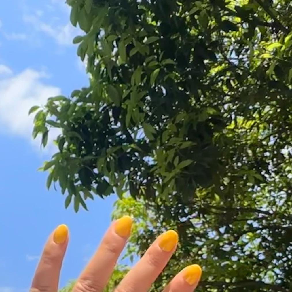 风油精🍃