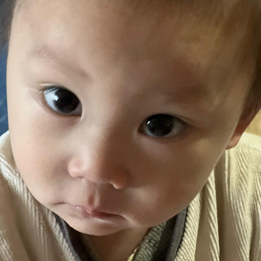 说点啥呢