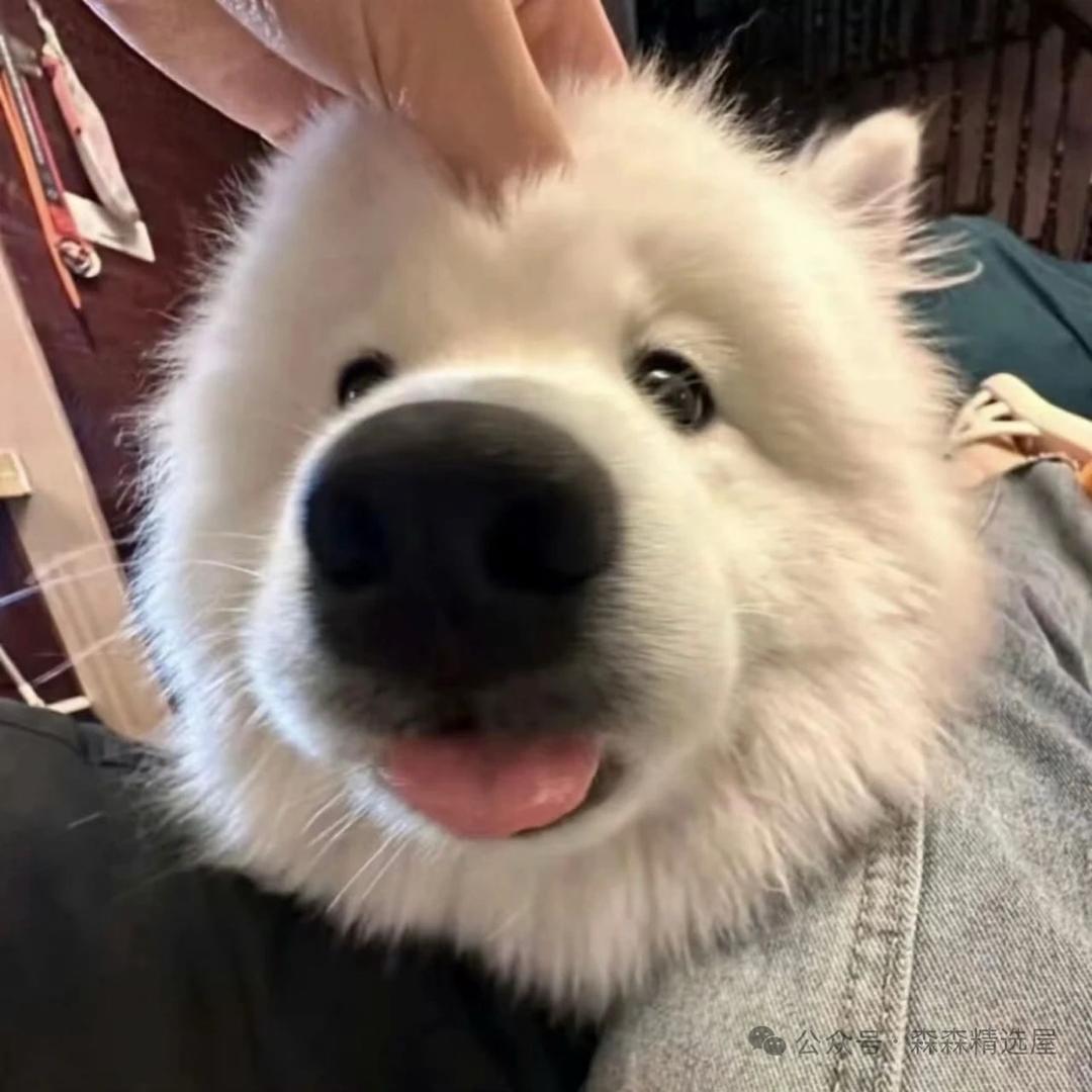 汤雅萱.