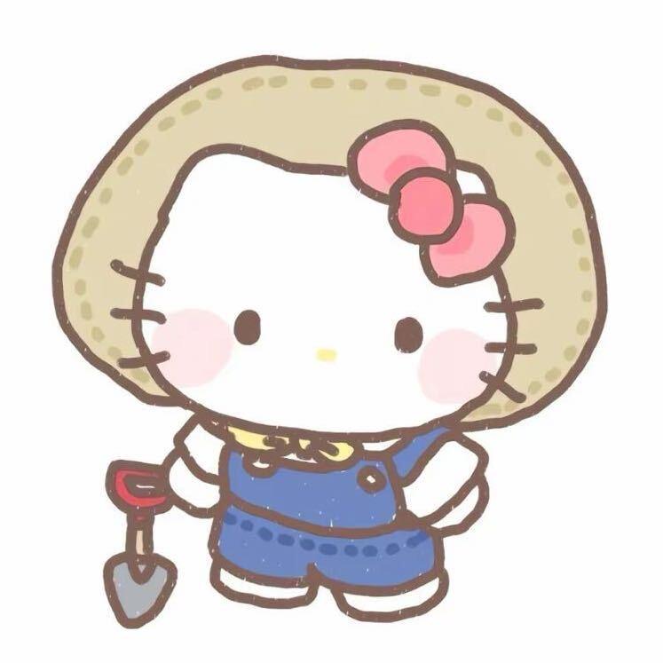 是小鱼🐟