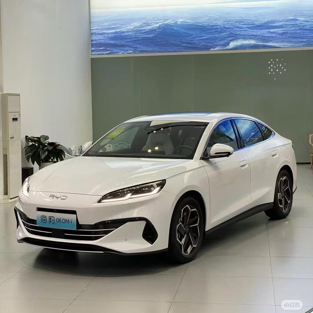 豹仔同学(海豹06dmi)