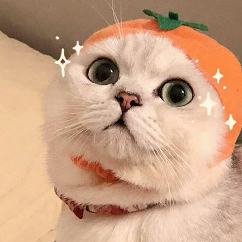 小张同学