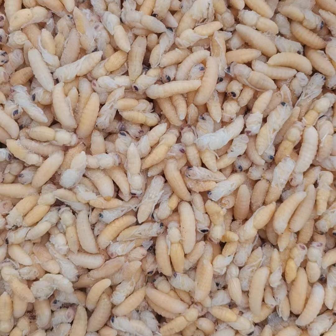 东罗☞那法钓场