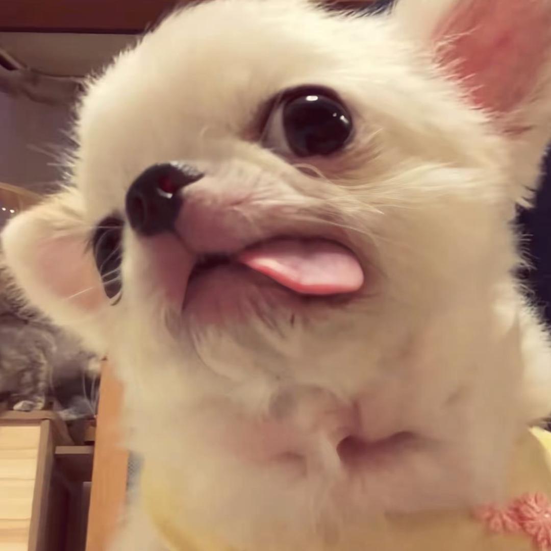 酸酸甜甜就是我