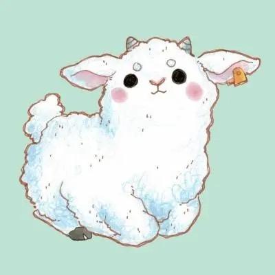 李羊羊