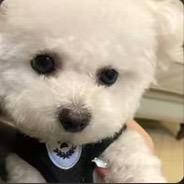 徐这个本子度