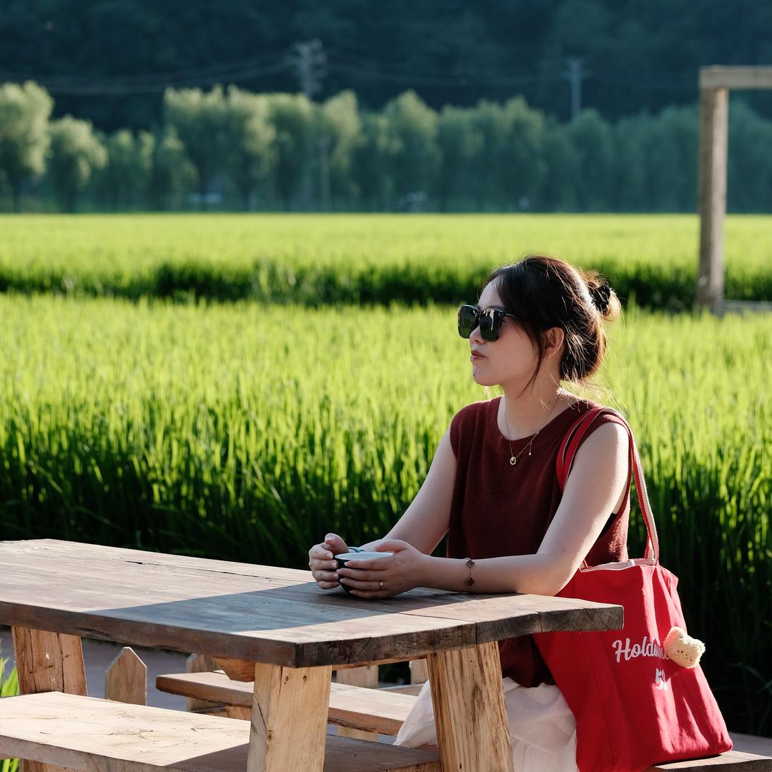 沙发上的小懒熊(●°u°●) 」