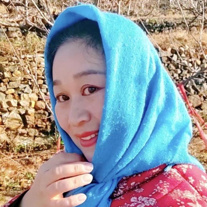 晖姑娘