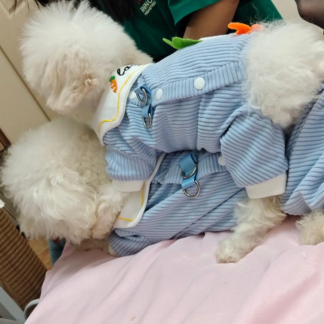 嗯😐嗯