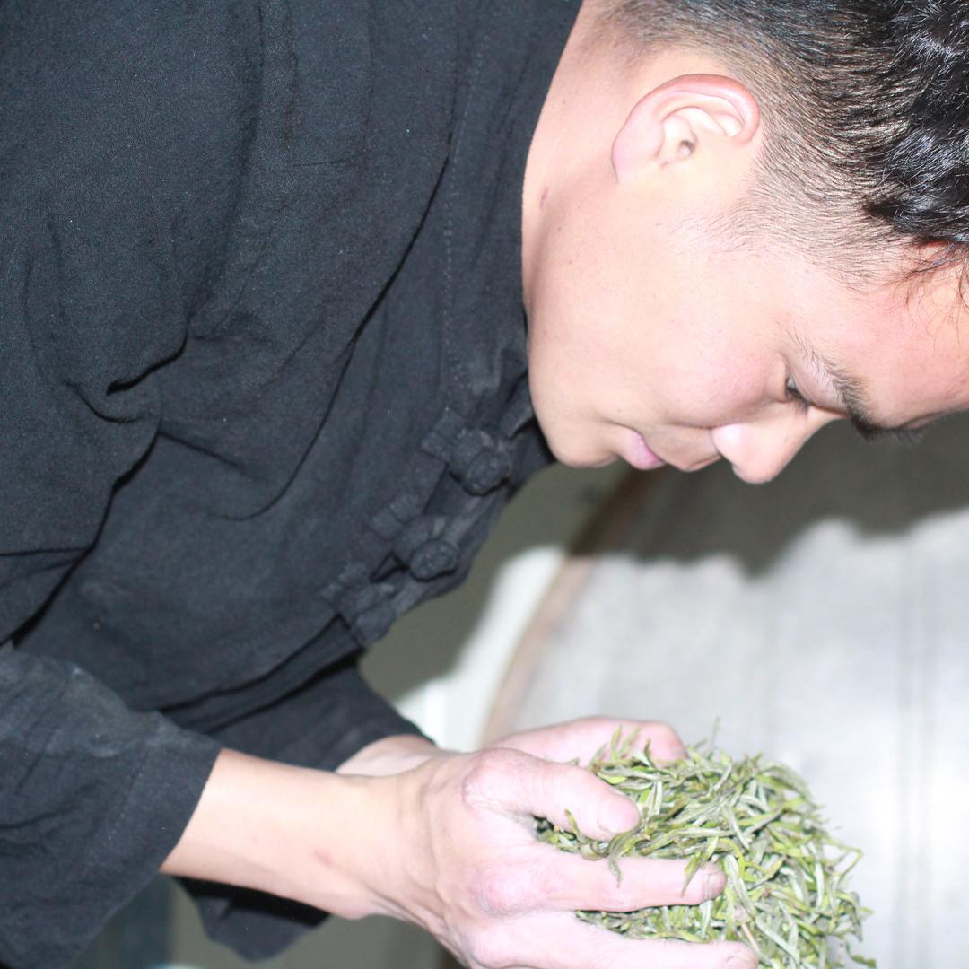 福鼎白茶大洋山鼎亮茶叶