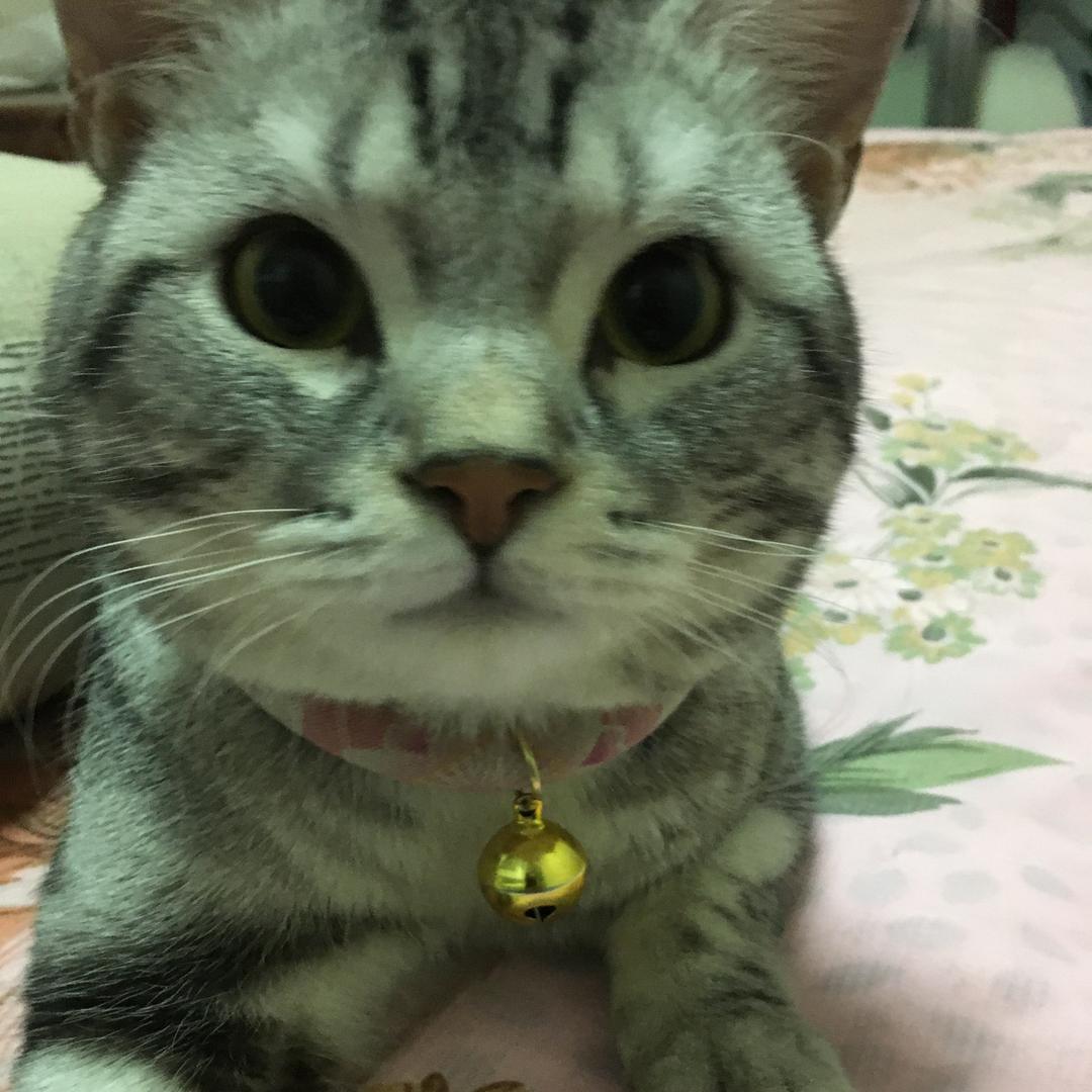 夏天来了