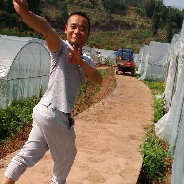 蕨溪蓝竹林草莓采摘园