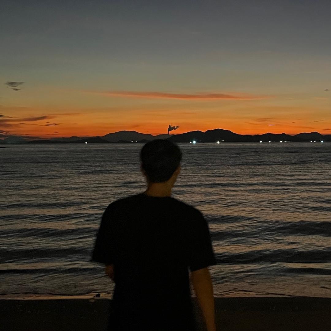 树与藤