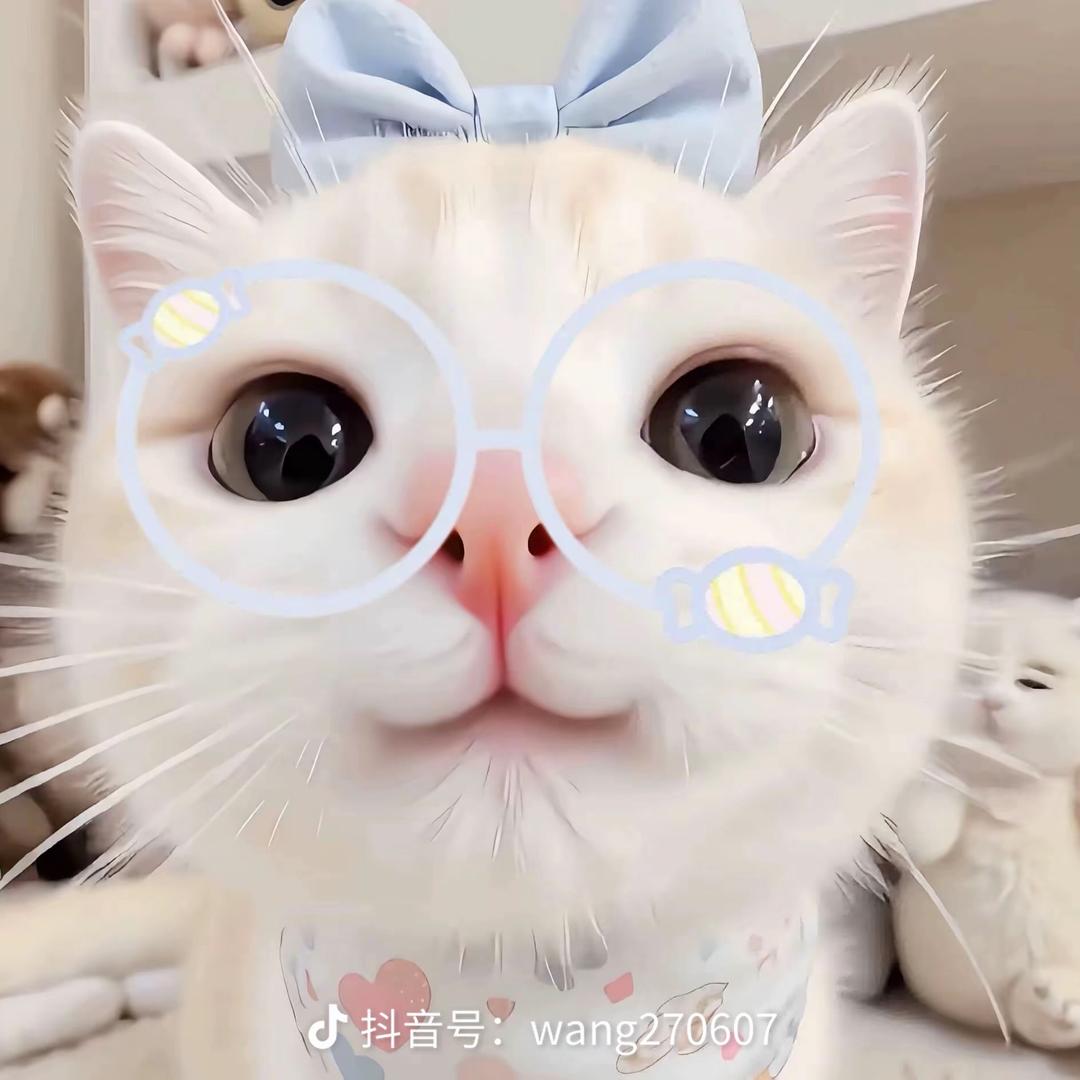 什么🐟