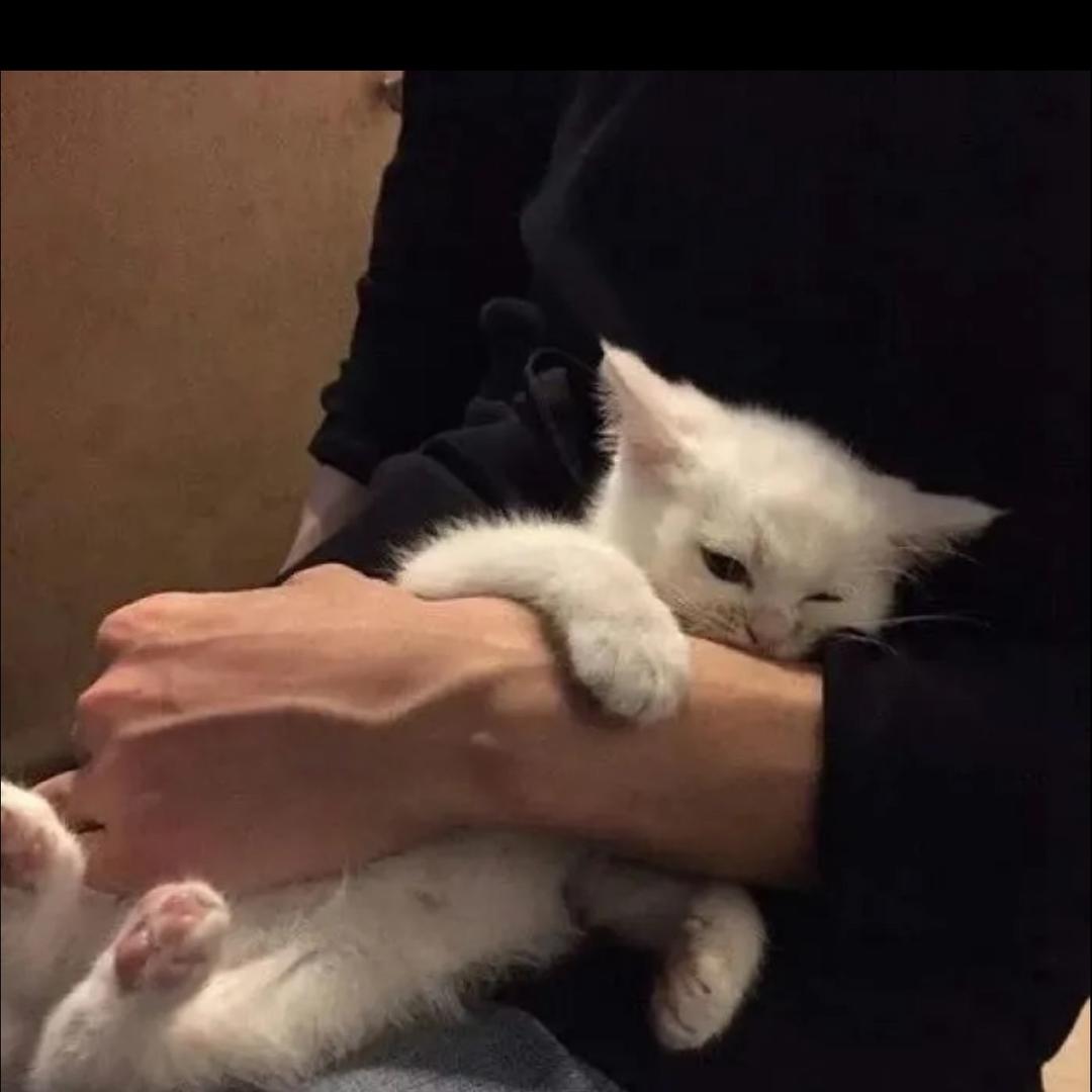 花明
